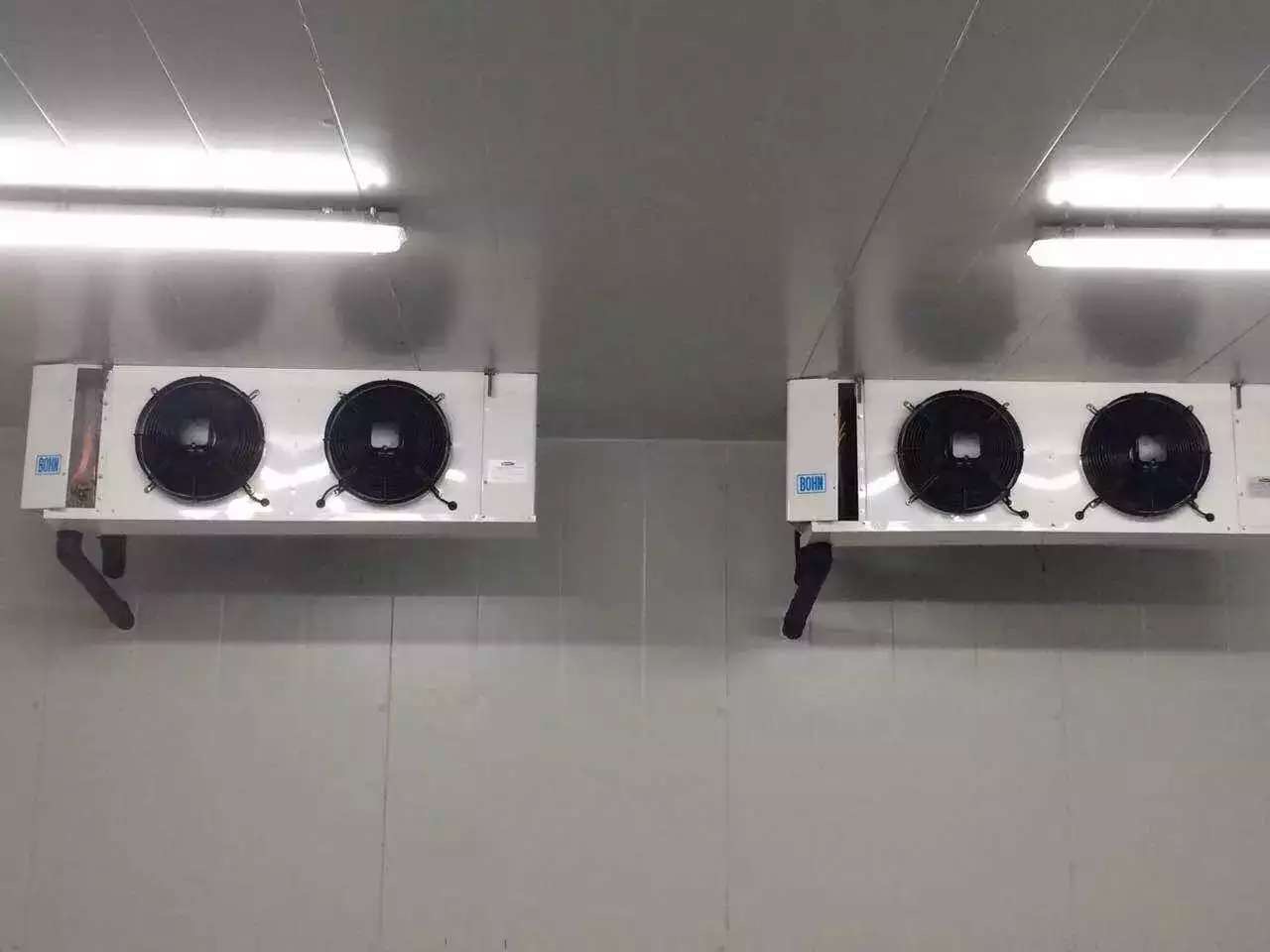 藥品冷庫和普通冷庫區(qū)別