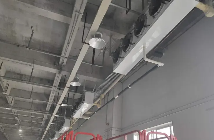 今年冷庫前景和利潤如何？