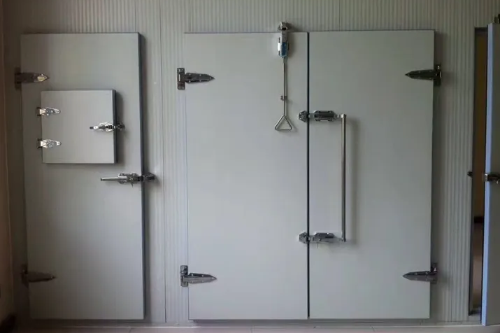 雙開(kāi)半埋冷庫(kù)門