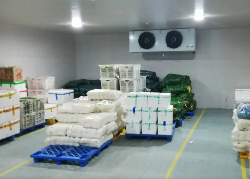 大蒜保鮮冷庫(kù)造價(jià)