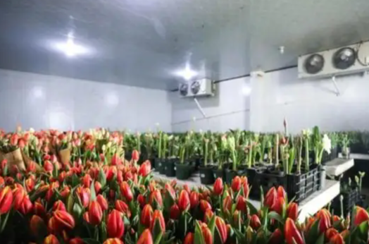 鮮花冷庫(kù)