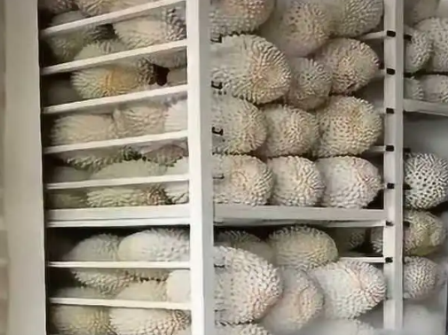 榴蓮放在冷庫里環(huán)境溫度是多少℃