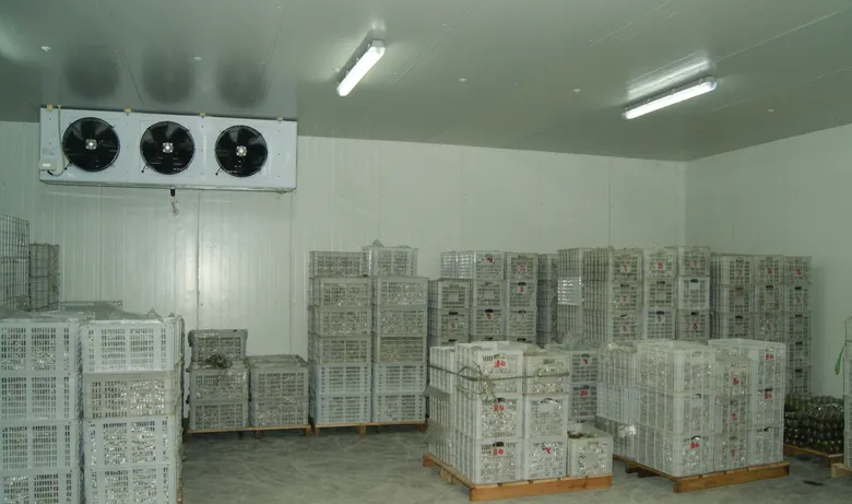 苦瓜保鮮庫(kù)