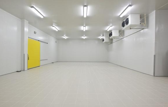 速凍冷庫(kù)廠(chǎng)家