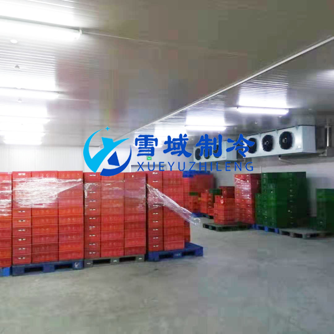 徐州衛(wèi)崗速凍冷庫(kù)現(xiàn)場(chǎng)圖片
