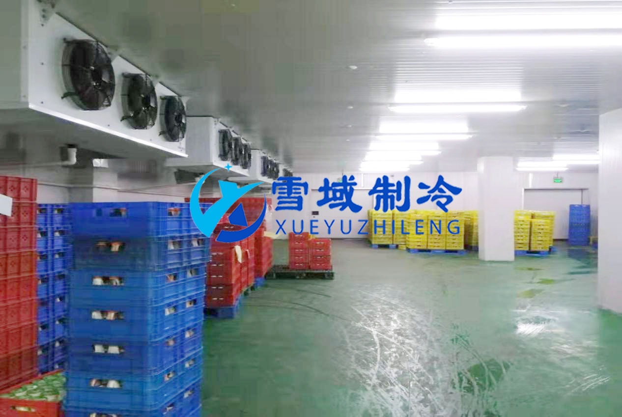 徐州衛(wèi)崗速凍冷庫(kù)現(xiàn)場(chǎng)圖片