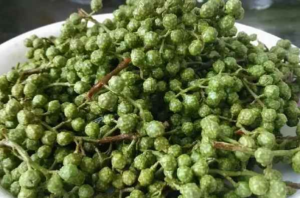 藤椒冷庫(kù)設(shè)計(jì)