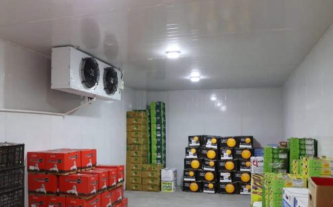 果蔬冷庫工程建造項目解決方案 果蔬冷庫工程建造項目解決方案