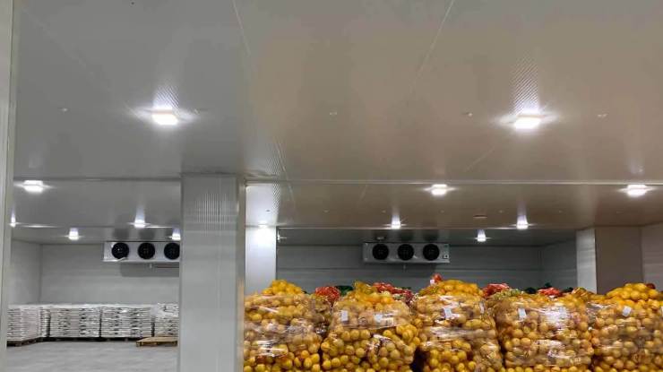 果蔬冷庫工程建造項目解決方案 果蔬冷庫工程建造項目解決方案