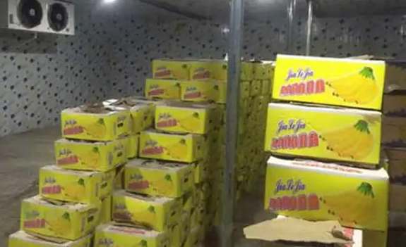 建造冷庫時(shí)地面該怎么處理