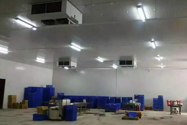 食品冷庫為什么不推薦建造地下室