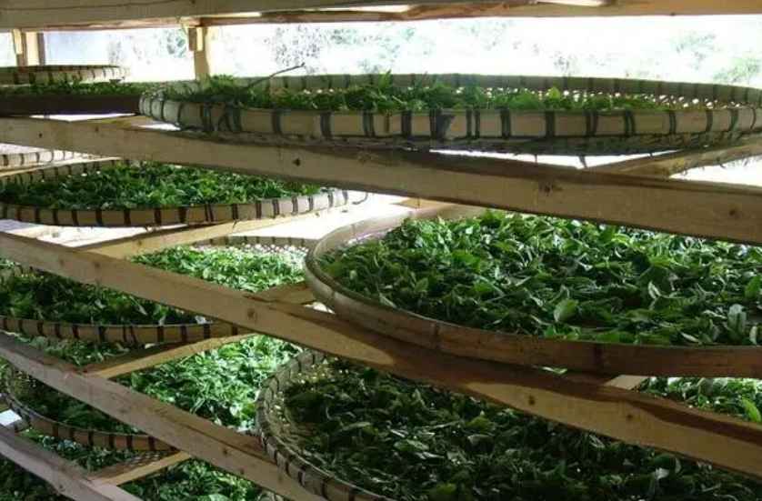 建造茶葉冷庫過程中需要注意哪些事項？