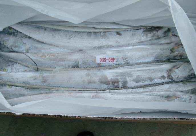 北京建造一個(gè)100平米魚類冷凍庫(kù)多少錢