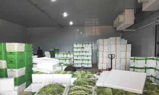 地下蔬菜保鮮庫建造要求