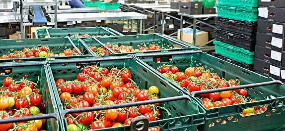 建1000平方米番茄氣調(diào)保鮮冷庫(kù)造價(jià)多少錢