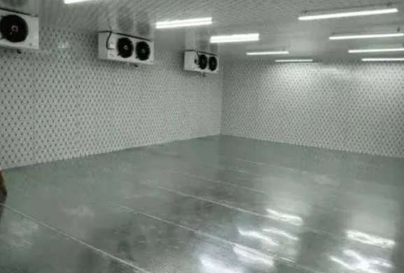 保鮮冷庫(kù)怎樣消毒比較好