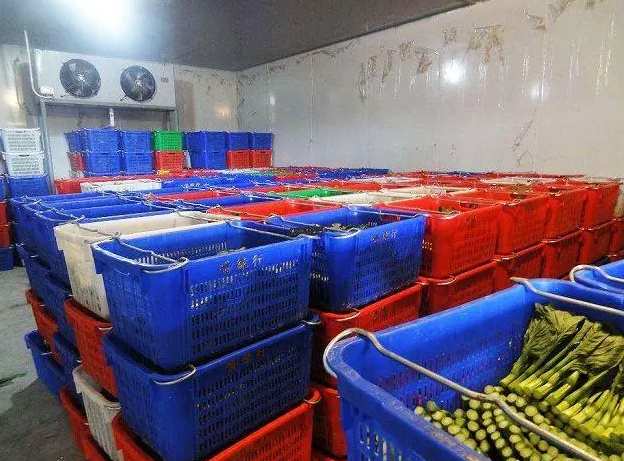 建造大型蔬菜保鮮冷庫(kù)造價(jià)多少錢