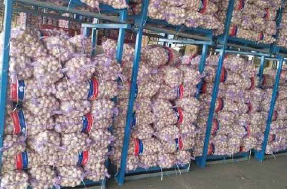 搭建一個(gè)儲(chǔ)存大蒜的冷庫造價(jià)多少錢