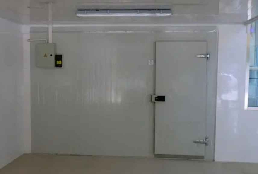 建個(gè)菠蘿水果冷庫(kù)要多少錢(qián)