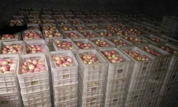 安裝30平米蘋(píng)果保鮮冷庫(kù)大約需要多少錢(qián)