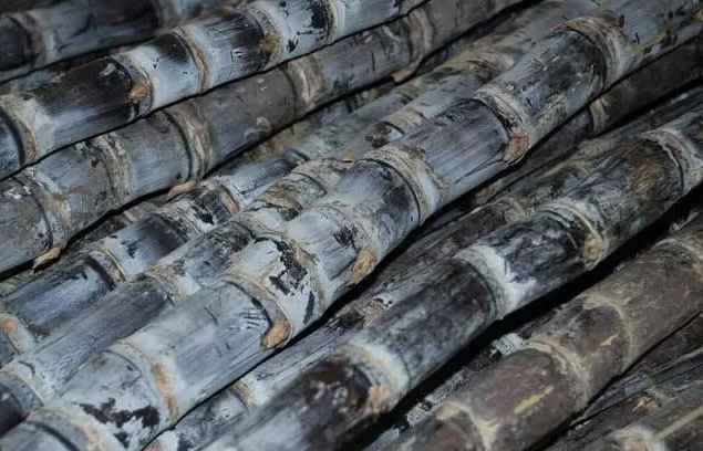 建造甘蔗保鮮冷庫(kù)價(jià)格多少錢(qián)