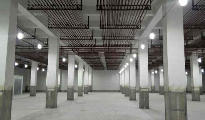 黃瓜冷庫(kù)保鮮技術(shù)要求有哪些