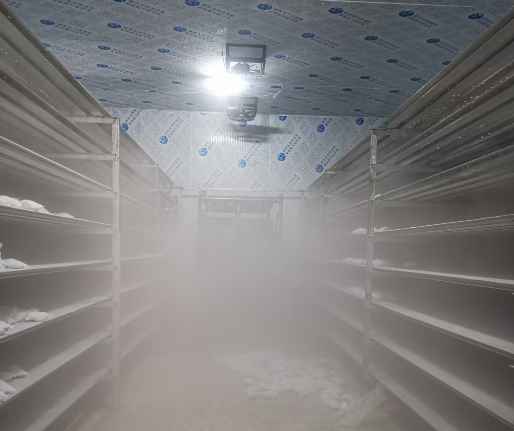 低溫速凍冷藏冷庫設(shè)計方案