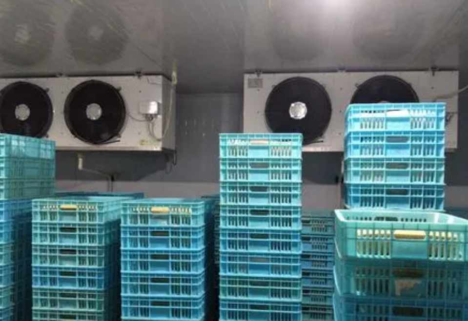 保鮮冷庫工程設(shè)計規(guī)范標(biāo)準(zhǔn)要求