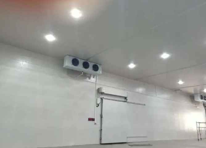 建一個冷凍庫大概要多少錢