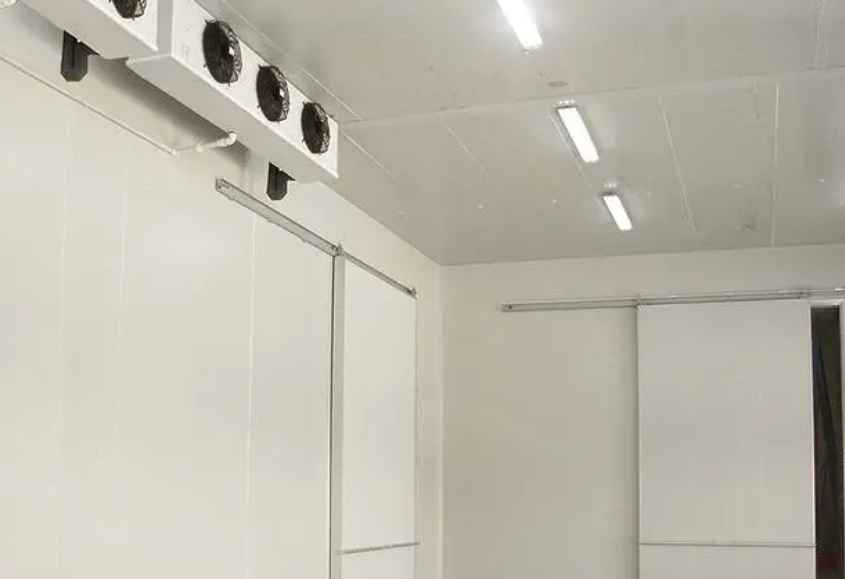 陽光玫瑰葡萄冷庫保鮮技術(shù)有哪些要求 陽光玫瑰葡萄冷庫保鮮技術(shù)有哪些要求