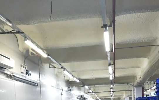 什么是預冷庫，大概多少錢