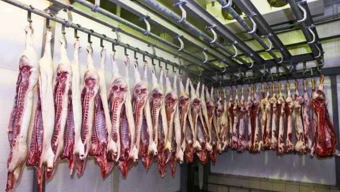 大型冷凍冷庫造價(jià)多少錢一方