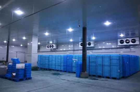 南京醫(yī)藥冷庫(kù)工程造價(jià)多少錢