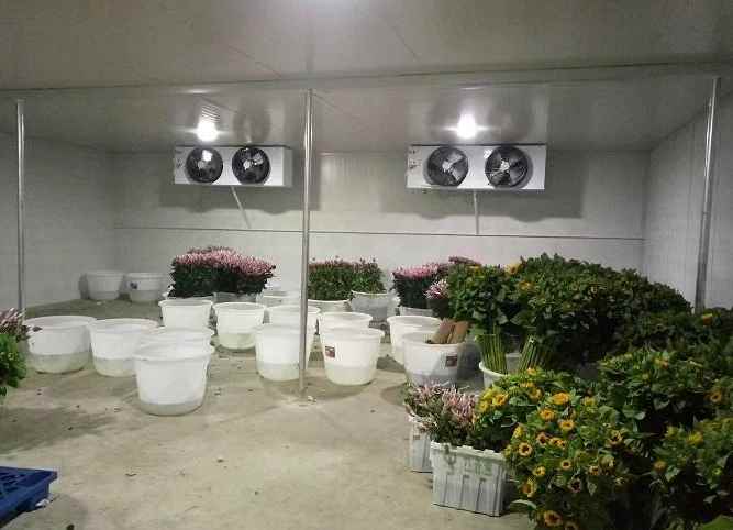 建造一個(gè)冷庫(kù)需要哪些設(shè)備和材料