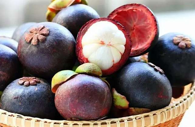 山竹存儲(chǔ)在保鮮冷庫能存放多久不壞