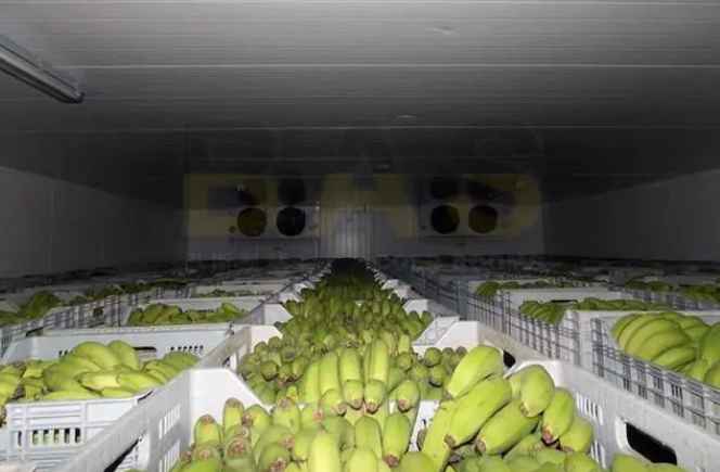  造一個(gè)450平米冷庫要多少費(fèi)用