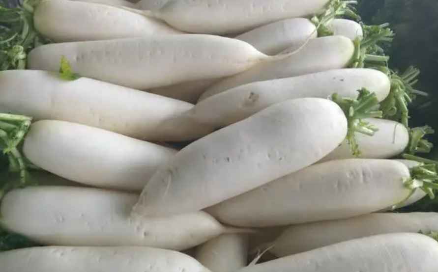 蘿卜冷庫(kù)保鮮技術(shù)方法