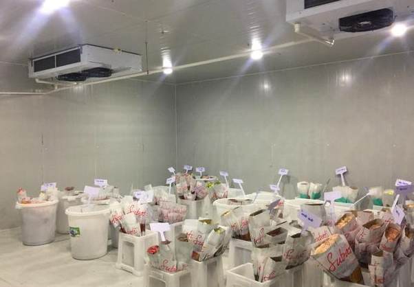 怎么選擇一家好的廣州冷庫建造公司