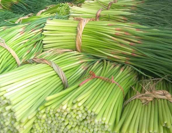 蒜苔冷庫如何正確保鮮儲(chǔ)存？