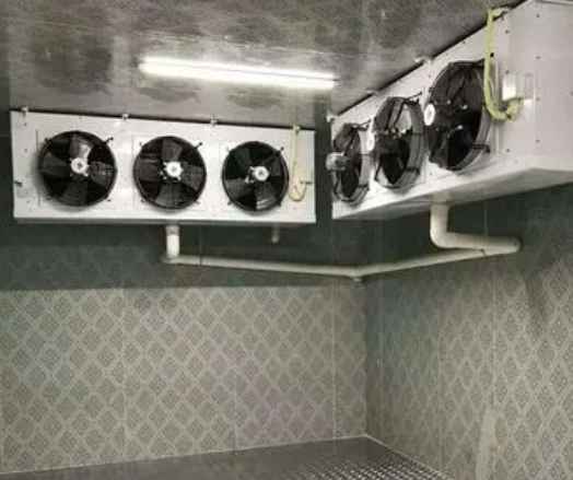 水果店冷庫(kù)建設(shè)多少錢一平方