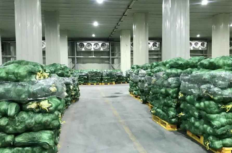 安裝一個50平方保鮮冷庫大約要多少錢