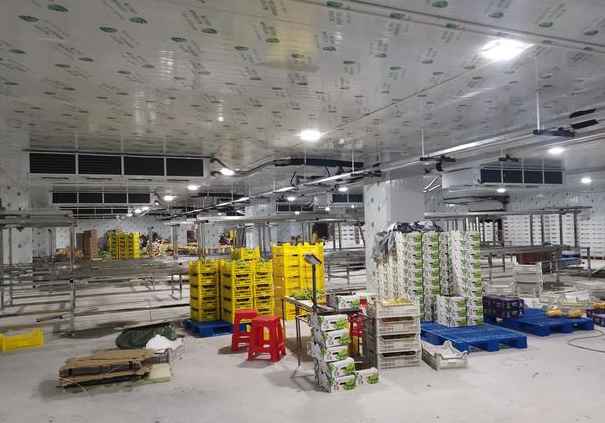 如何優(yōu)化2000立方米柑橘冷庫的設計？