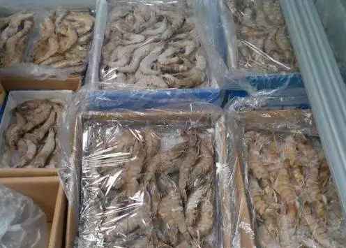 投資建650平米凍蝦冷凍庫(kù)多少錢(qián)