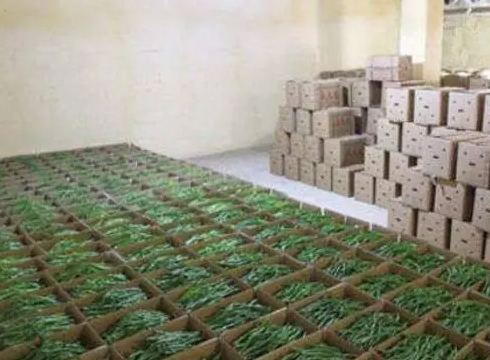 蔬菜冷庫(kù)建設(shè)多少錢(qián)一平方