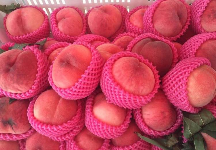 建一個(gè)200平米水蜜桃冷庫多少錢