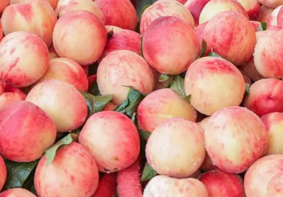 桃子在保鮮冷庫(kù)中怎么去存放？