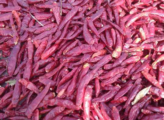 冷庫(kù)辣椒運(yùn)輸打冷多少度